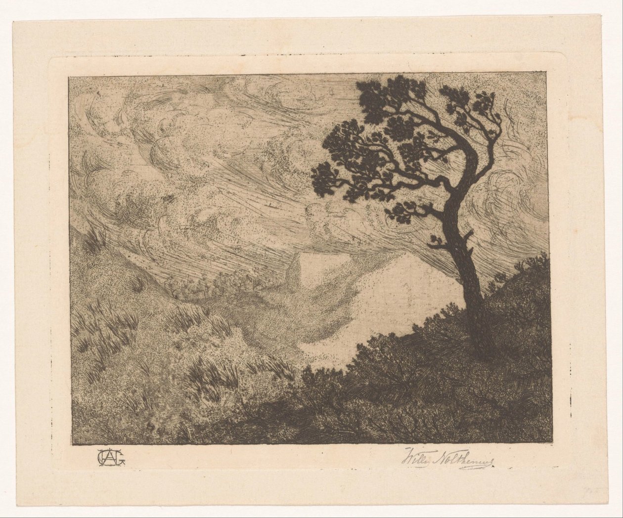 Drzewo w pagórkowatym krajobrazie autorstwa Willem Nolthenius (signed by artist)