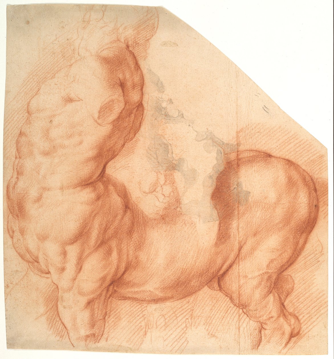 Oswojony centaur. Rzeźba antyczna widziana z lewej strony autorstwa Willem Panneels