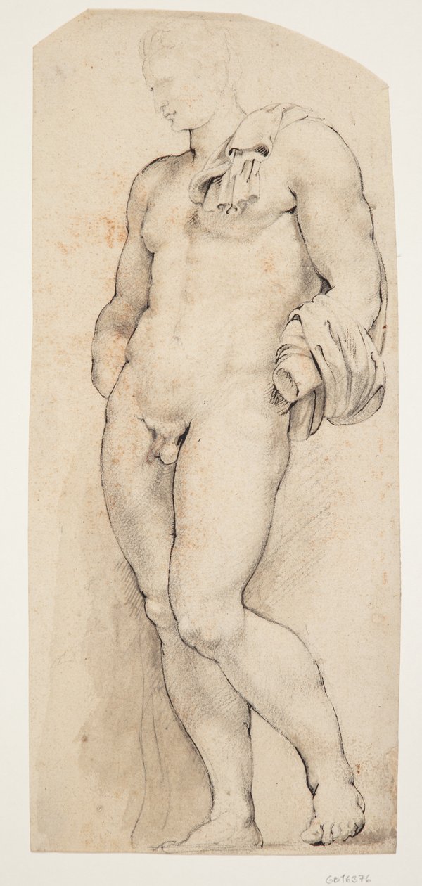 Przód antycznej rzeźby „Belvedere Antinous” widziany do połowy zwrócony w lewo autorstwa Willem Panneels