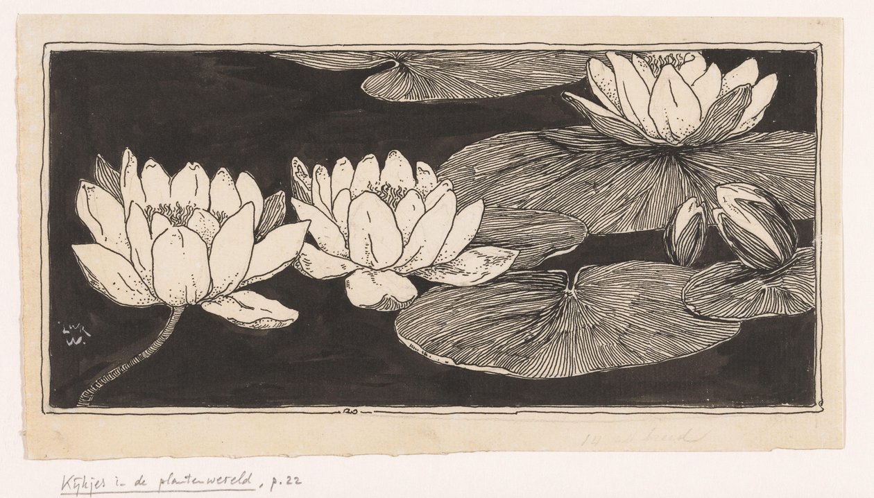 lilie wodne autorstwa Ludwig Willem Reymert Wenckebach