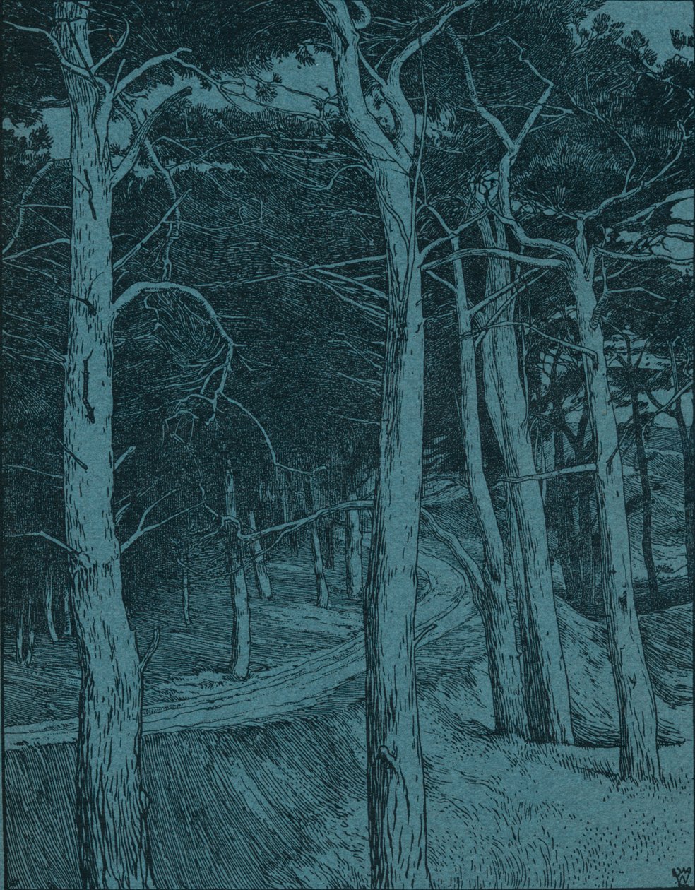 Las, c1912 autorstwa Willem Wenckebach