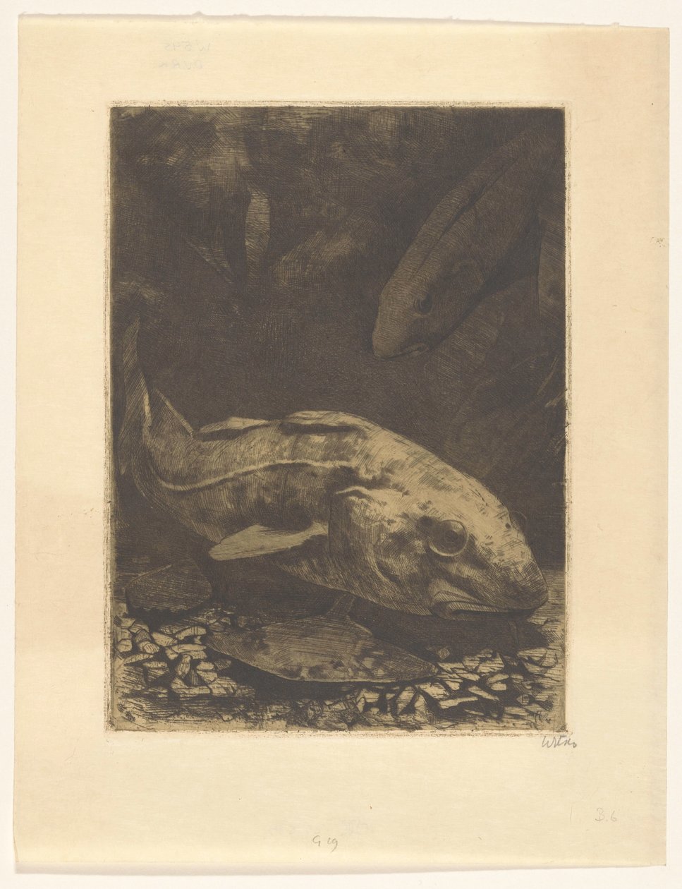 Ryby i rośliny wodne autorstwa Willem Witsen (signed by artist)
