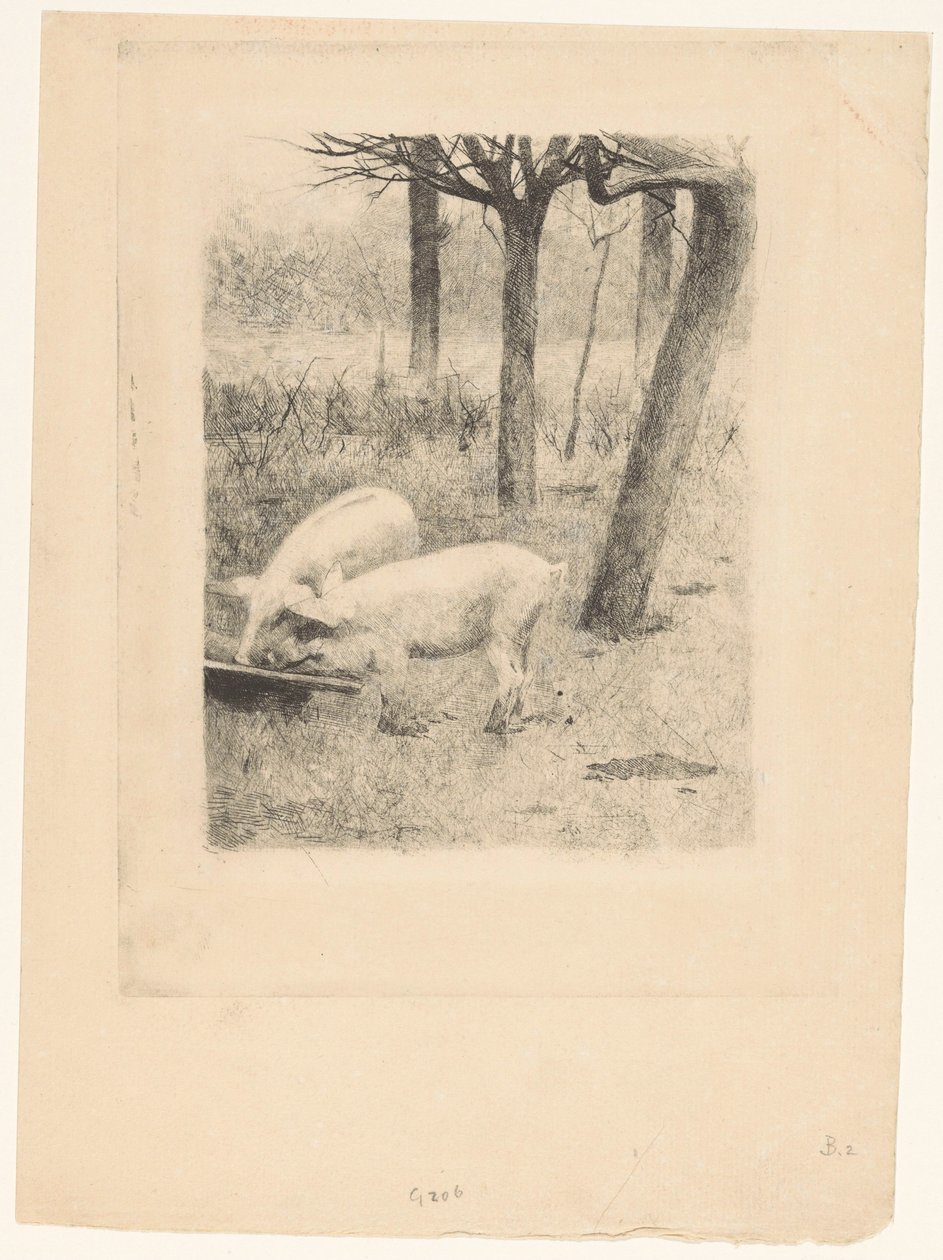 Dwie świnie przy korycie autorstwa Willem Arnoldus Witsen