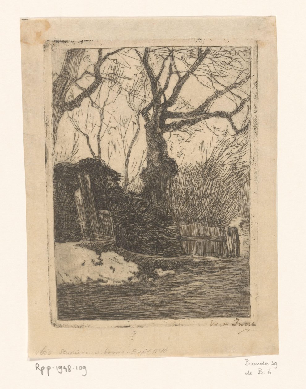Drzewa i pedały przy płocie Gałązki przy płocie z drzewami (tytuł oryginalny) autorstwa Willem de Zwart (signed by artist)