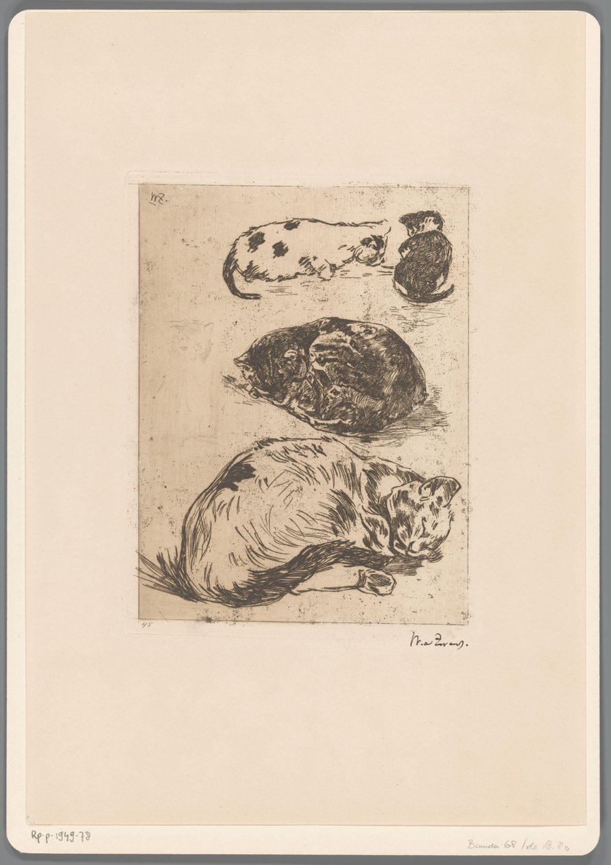 Studium kotów (tytuł oryginalny) autorstwa Willem de Zwart (signed by artist)
