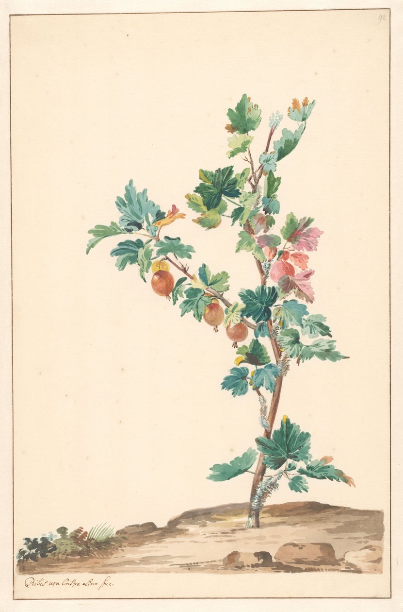 Agrest w krajobrazie autorstwa Willem van Leen (attributed to)