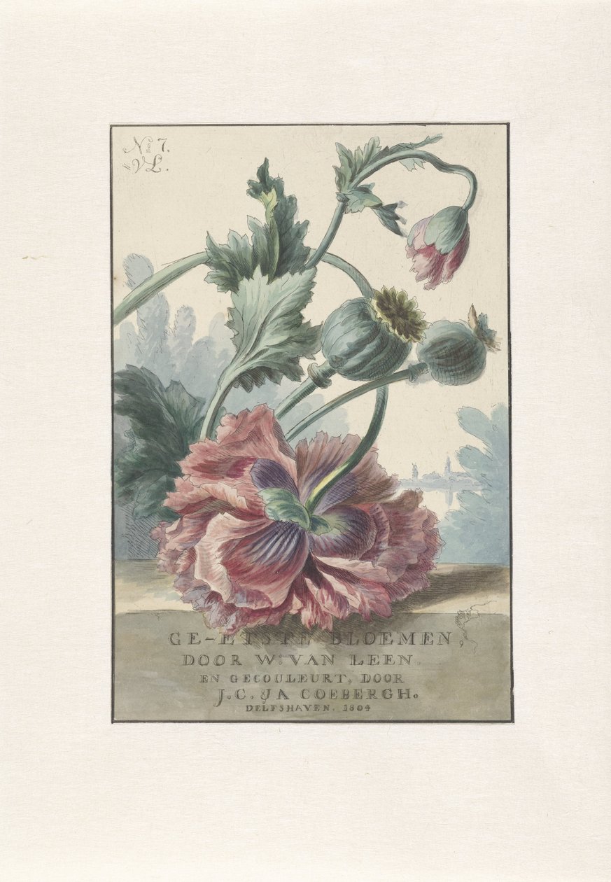 maki Druk tytułowy dla: W. van Leena i J.C. & TAK. Coebergh, Trawione kwiaty, 1804 autorstwa Willem van Leen