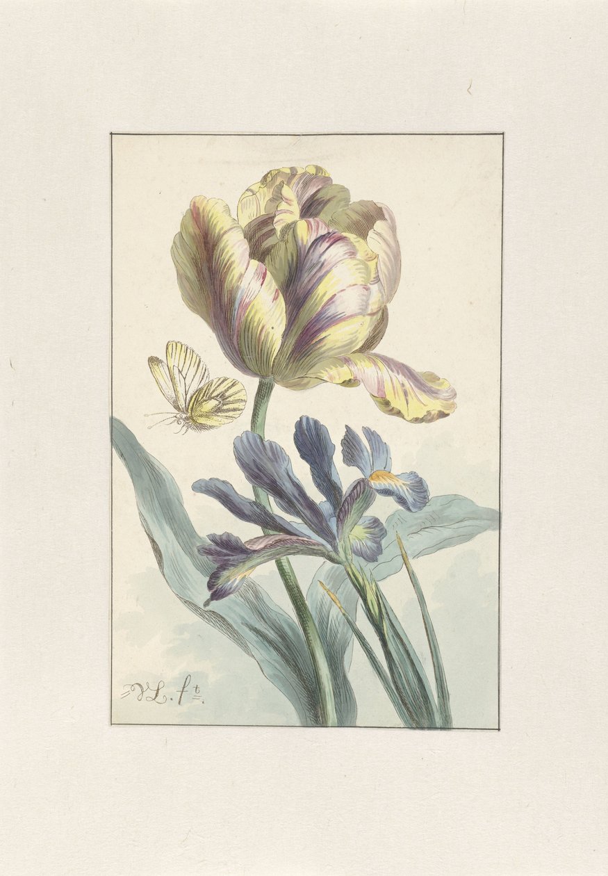 Tulipan i Irys autorstwa Willem van Leen