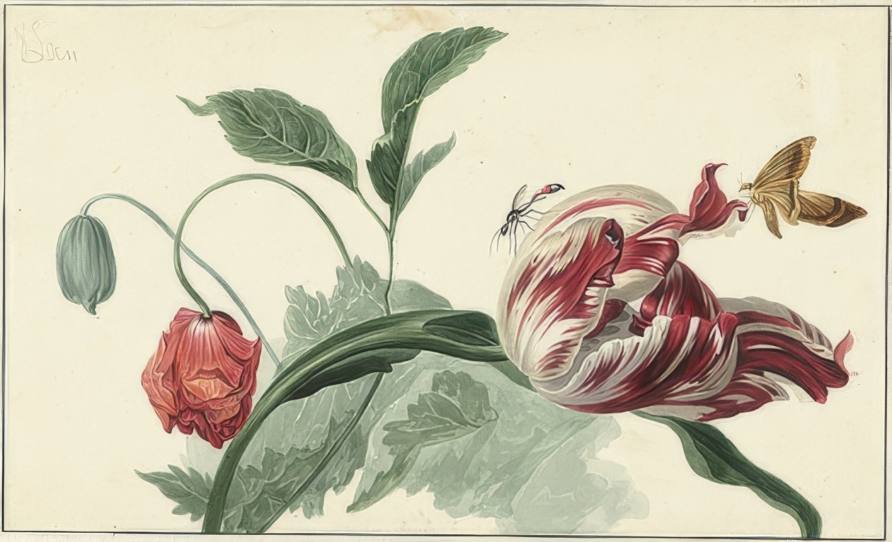 Tulipan i mak autorstwa Willem van Leen