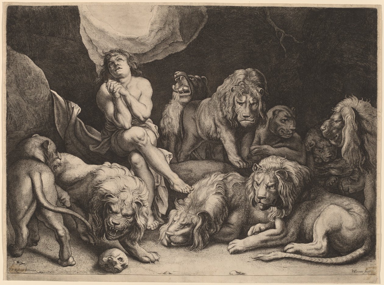 Daniel w Denu Lwów autorstwa Willem van der Leeuw after Sir Peter Paul Rubens