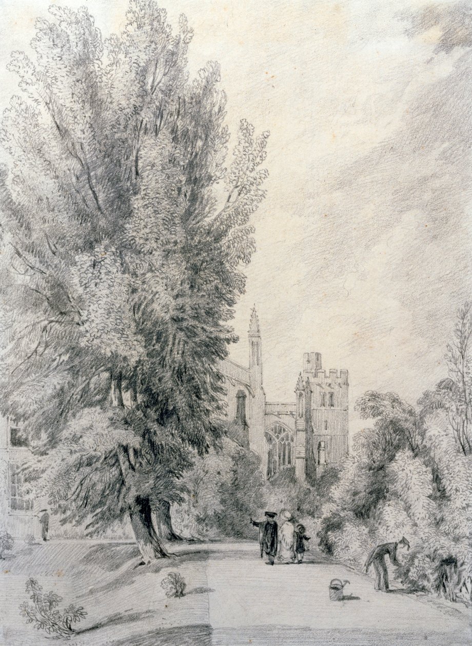 Ogród New College, 1821 autorstwa William Alfred Delamotte