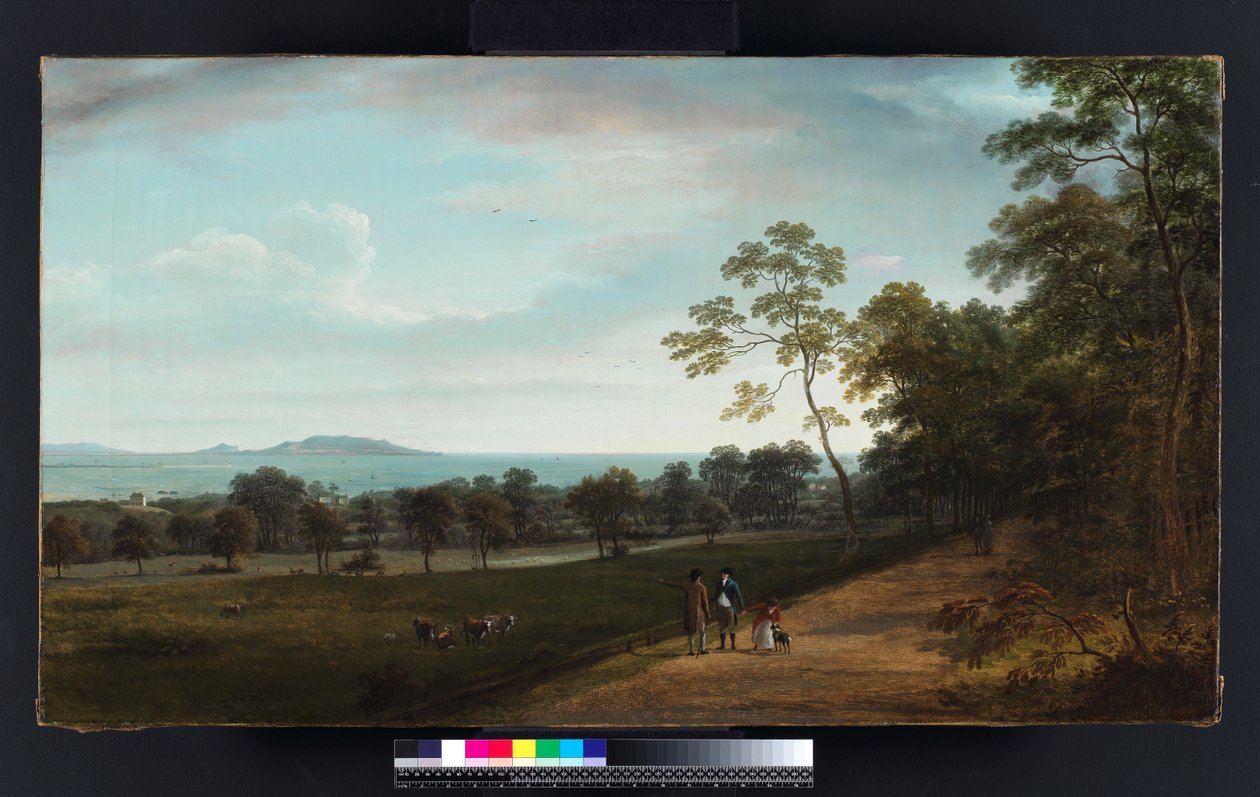 Widok na Mount Merrion Park, 1806 r. autorstwa William Ashford