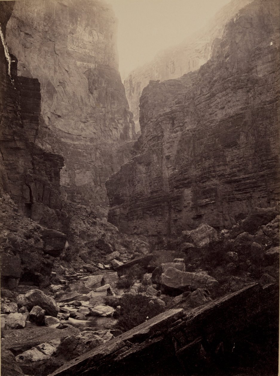 Kanon Kanab Wash, rzeka Kolorado, patrząc na północ autorstwa William H. Bell