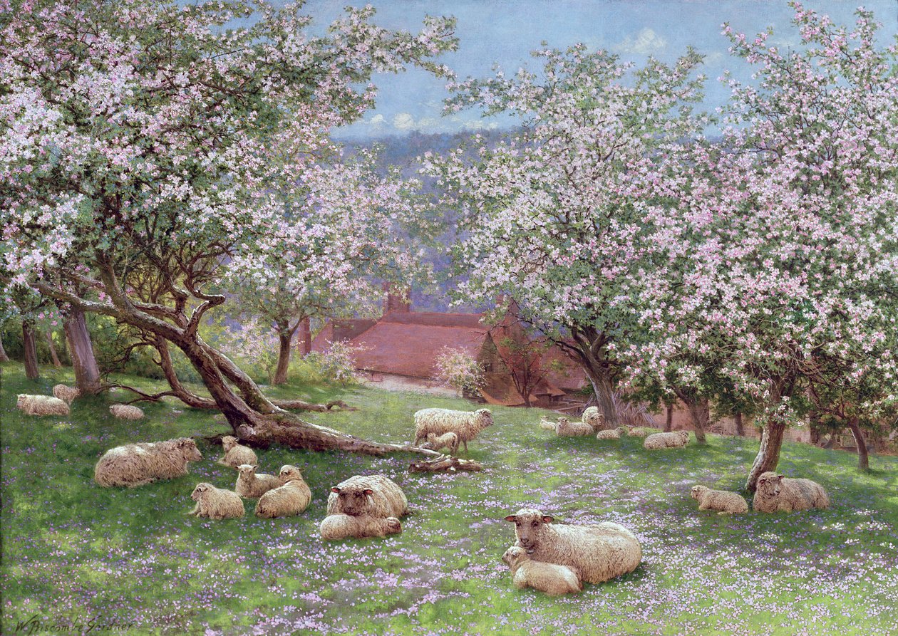Kwiat jabłoni autorstwa William Biscombe Gardner