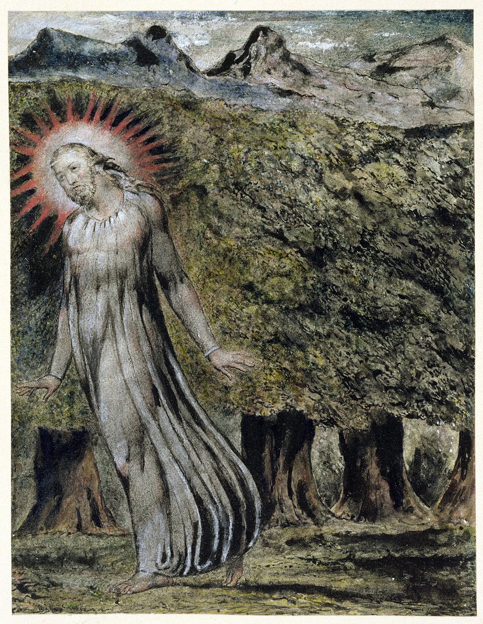 Prorok na pustyni (pióro i atrament z gwaszem na papierze) autorstwa William Blake