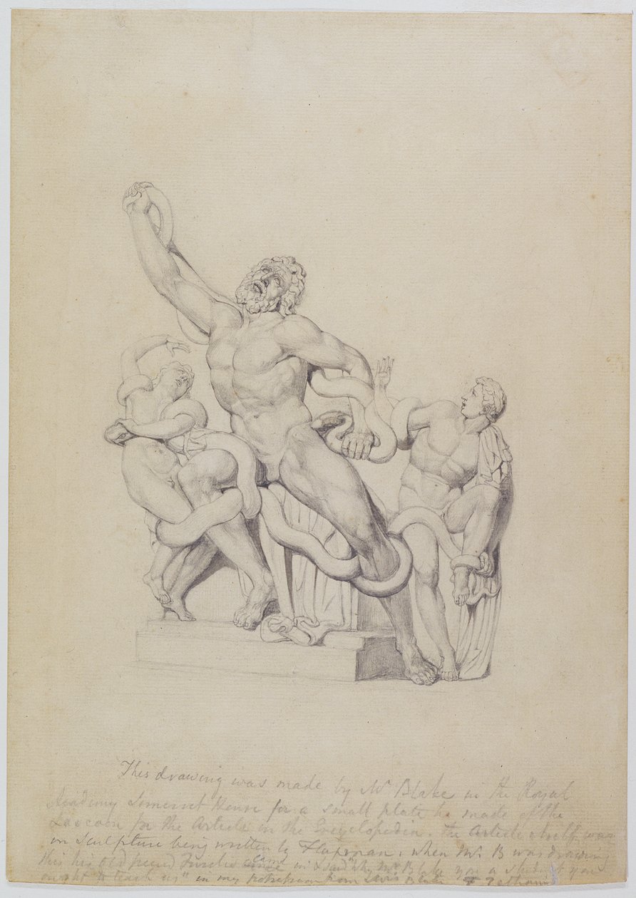 Kopia Laocoon, dla Rees