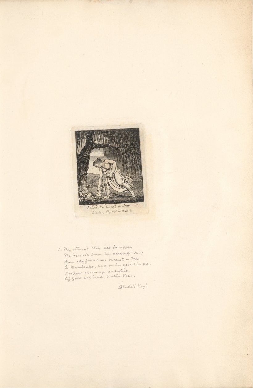 Dla płci - Bramy raju, ilustracja 3, znalazłem go pod drzewem autorstwa William Blake