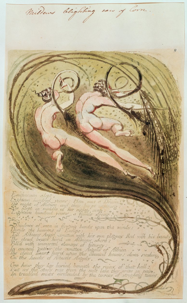 Pleśń niszcząca kłosy kukurydzy autorstwa William Blake