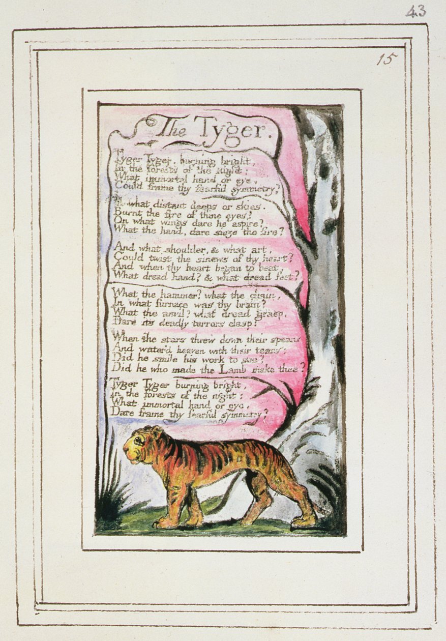 P.124-1950.pt43 Tyger: tablica 43 z "Pieśni o niewinności i doświadczeniu" (egzemplarz R) ok. 1802-08 (akwaforta, tusz i wc) autorstwa William Blake