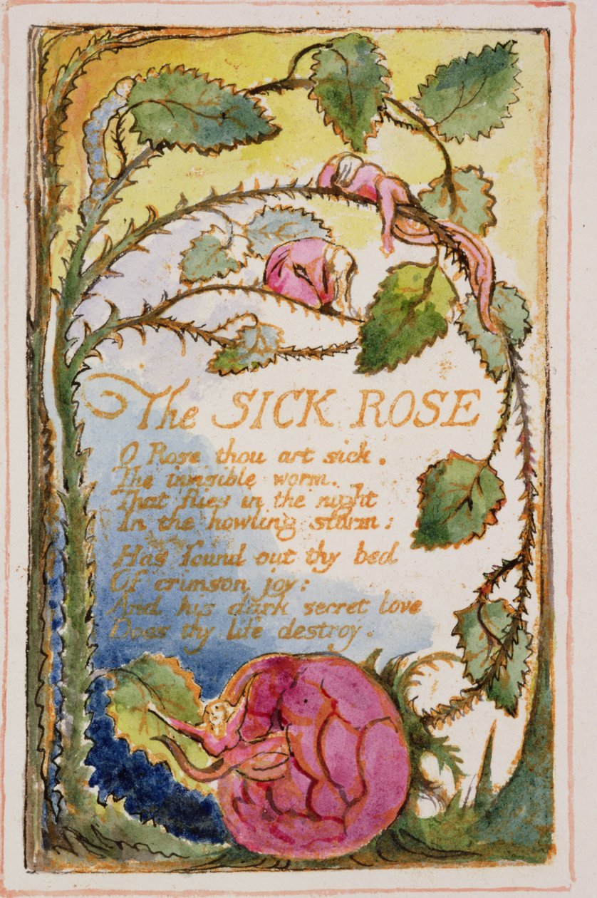 P.125-19503.pt39 The Sick Rose: płyta 39 z Pieśni o niewinności i doświadczeniu (kopia AA) c.1815-26 (akwaforta, tusz i wc) autorstwa William Blake