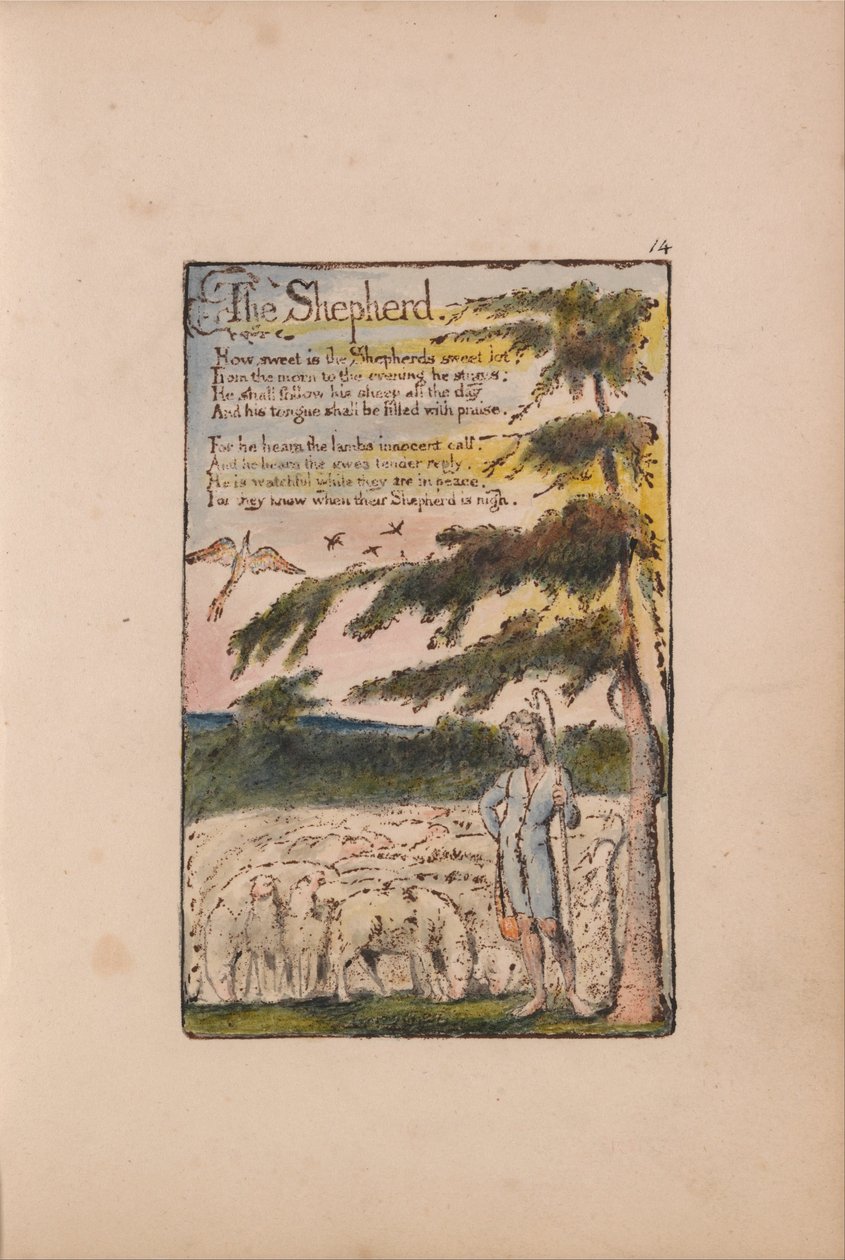 Pieśni niewinności i doświadczenia autorstwa William Blake