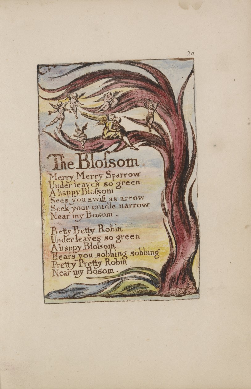 Kwiat, tablica 28 z Pieśni o niewinności, 1789 (ręcznie kolorowana płaskorzeźba akwaforta z wc na papierze) autorstwa William Blake