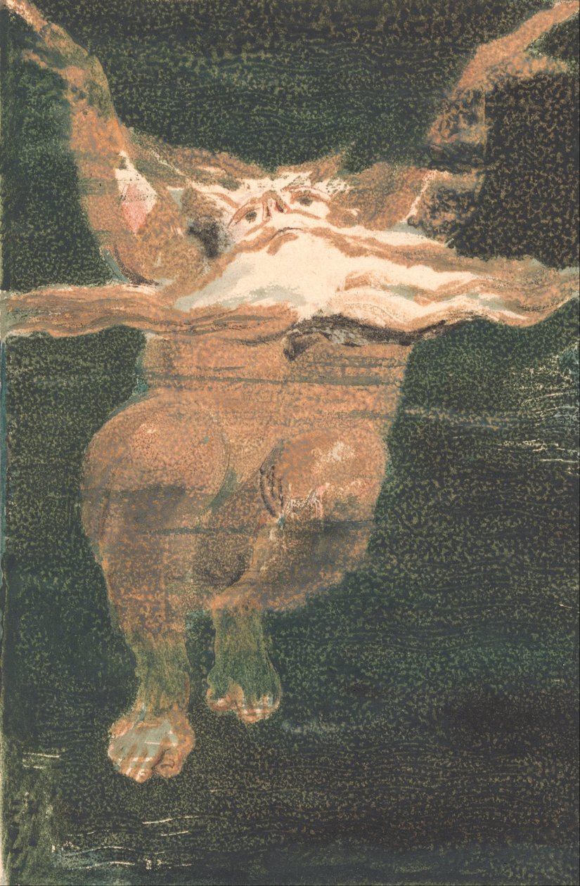 Pierwsza Księga Urizena, płyta 5 (Bentley 12) autorstwa William Blake
