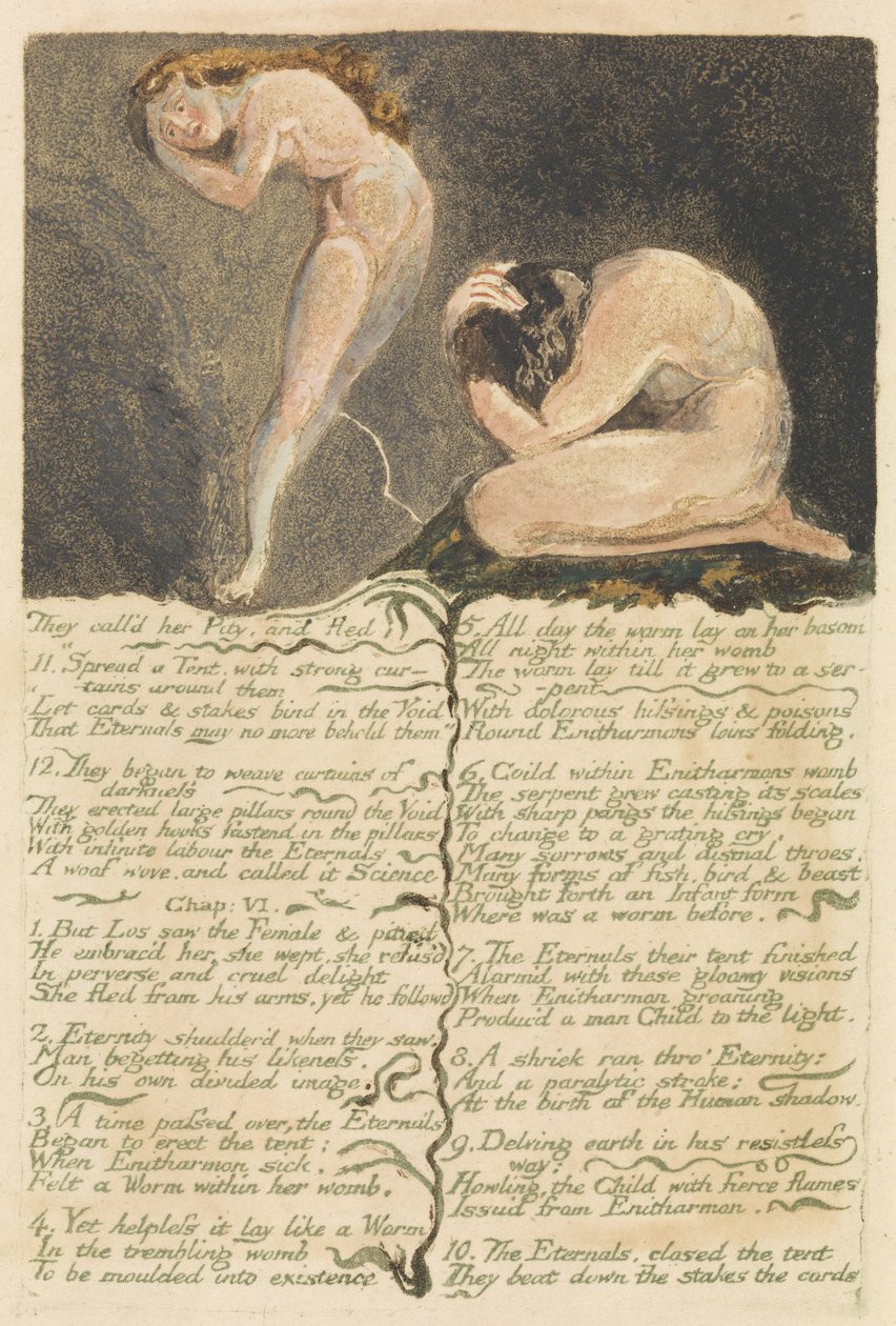 Pierwsza Księga Urizena, tablica 17, Nazywali ją Litością i ucieczką., 1794 (akwaforta płaskorzeźba z wc) autorstwa William Blake