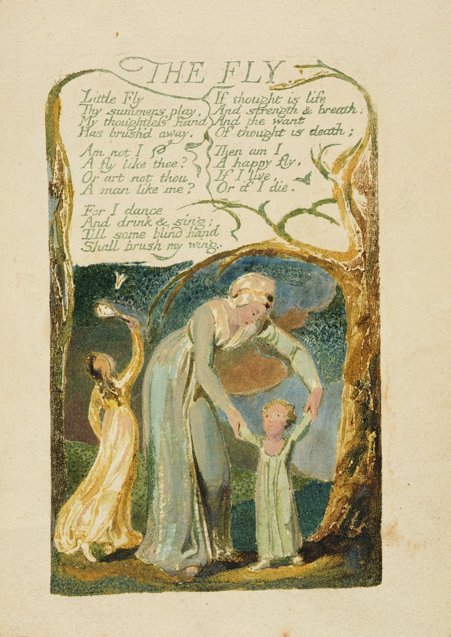 Mucha, płyta 47 z "Pieśni o doświadczeniu", 1794 (akwaforta reliefowa z akwarelą) autorstwa William Blake