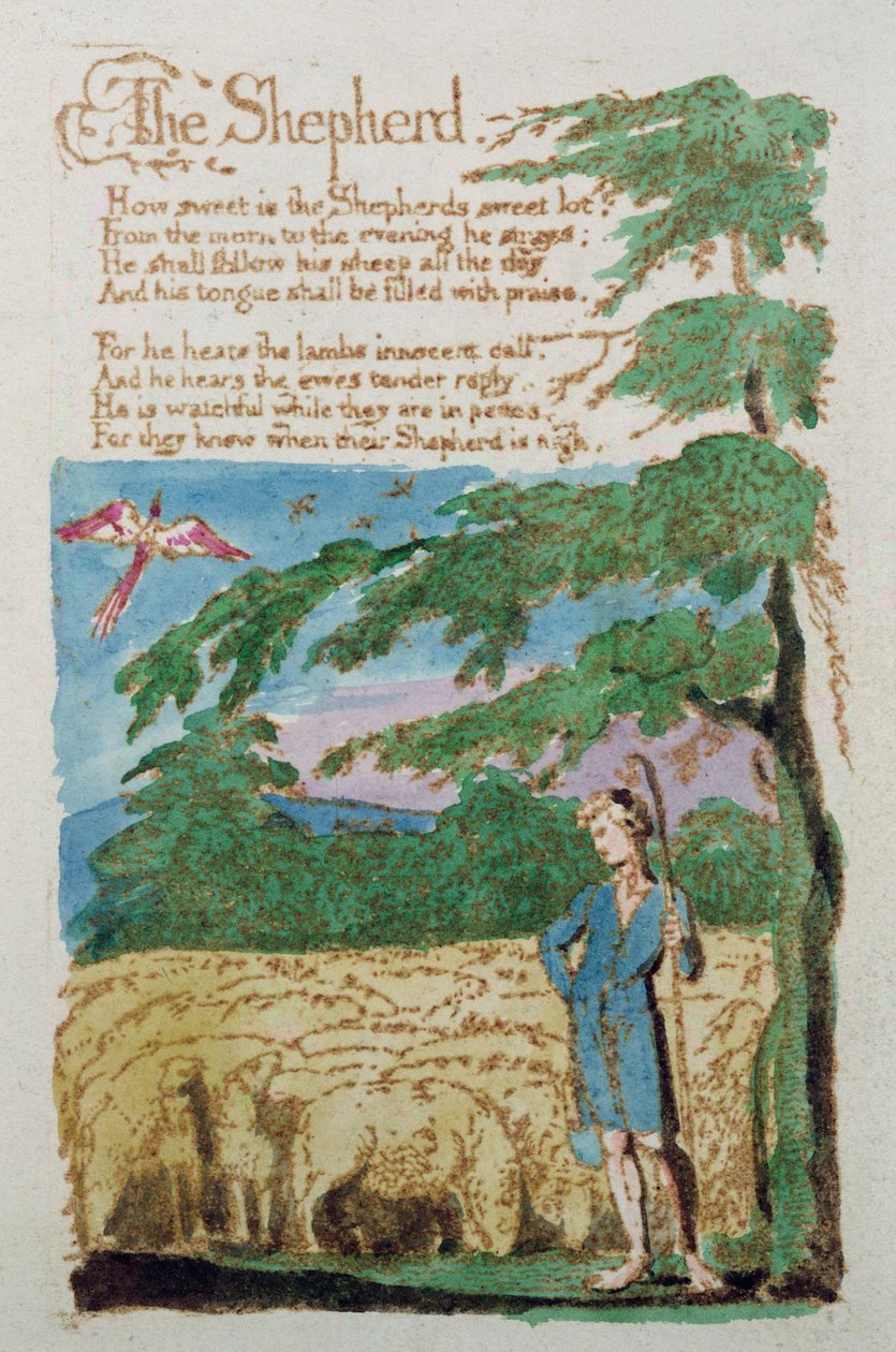 Pasterz, z Pieśni niewinności, 1789 (akwaforta barwna) autorstwa William Blake