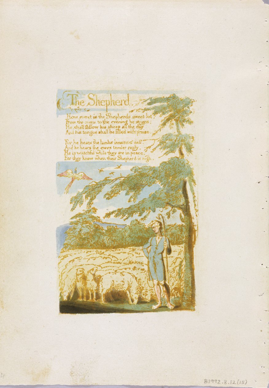 „Pasterz”, płyta 15 z „Pieśni o niewinności”, 1789 (akwaforta płaskorzeźba z wc na papierze) autorstwa William Blake