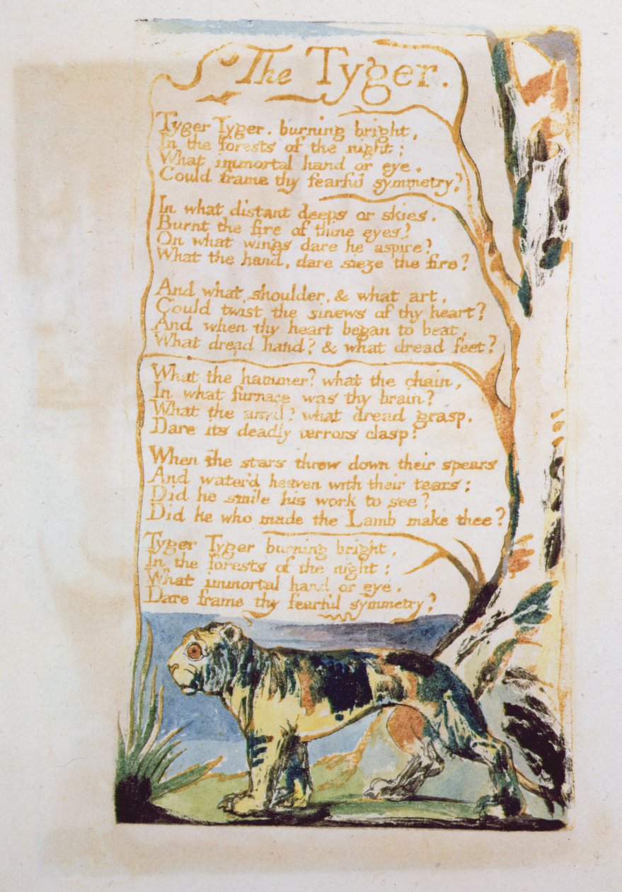 Tygrys, z Pieśni niewinności autorstwa William Blake