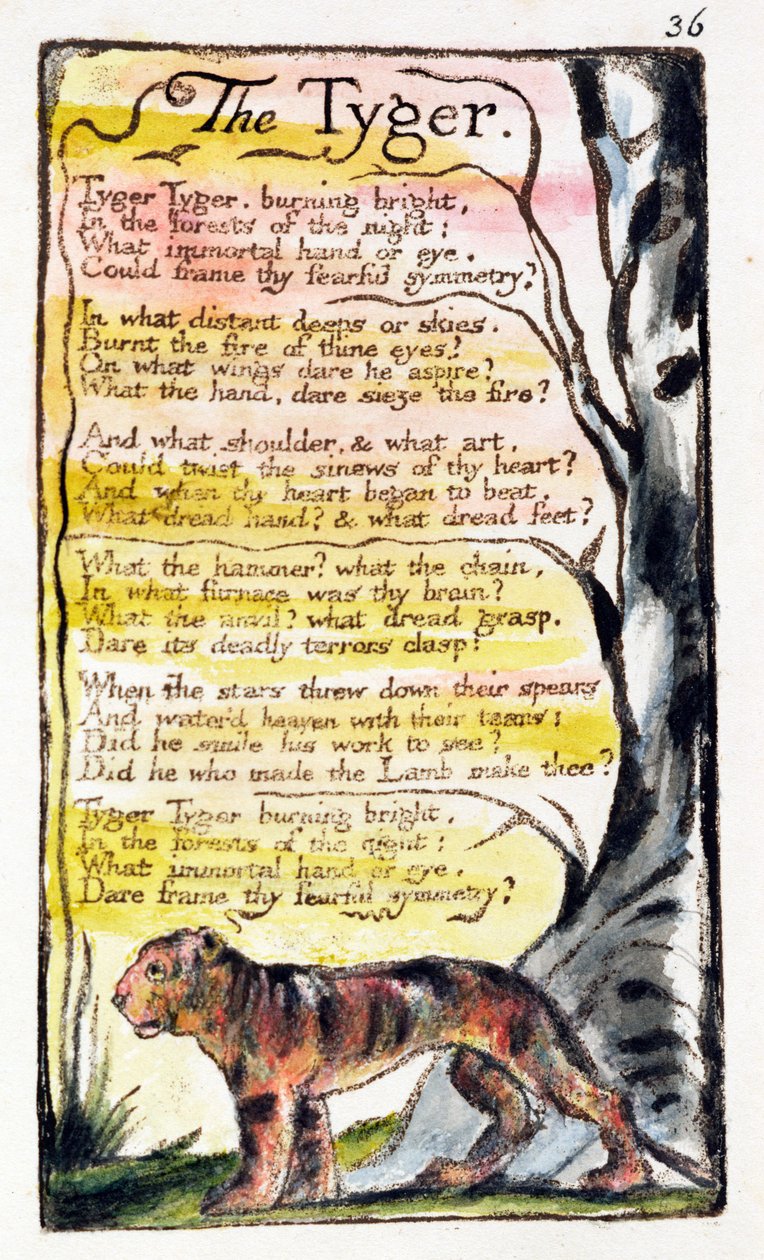 „Tygrys”, płyta 36 (Bentley 42) z „Pieśni o niewinności i doświadczeniu” (Bentley Copy L) 1789-94 (akwaforta wypukła piórem i wc) autorstwa William Blake