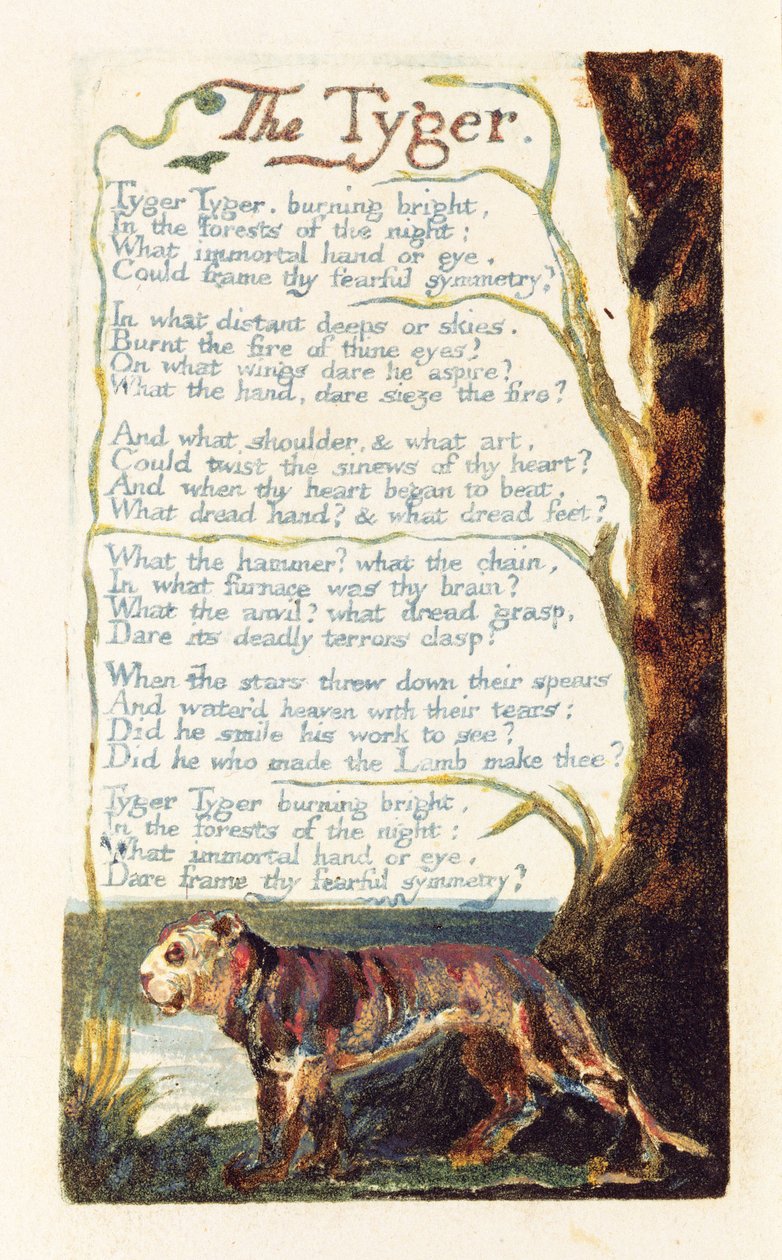 Tyger, płyta 41 z "Pieśni o doświadczeniach", 1794 (akwaforta reliefowa z wc) autorstwa William Blake