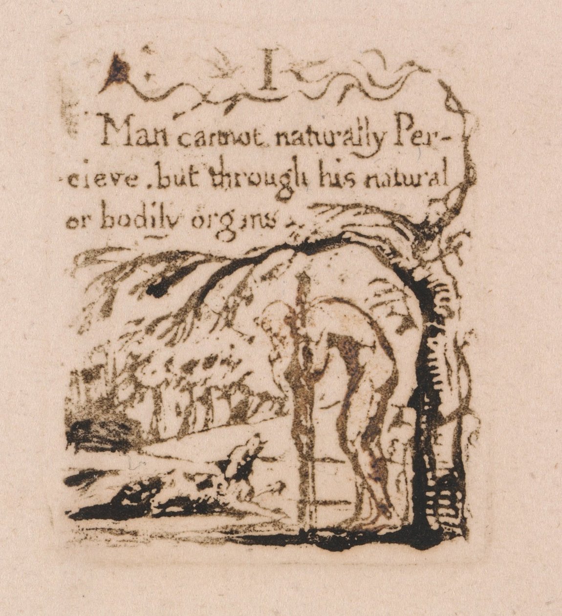 Nie ma naturalnej religii, płyta 3, ja człowiek nie mogę naturalnie. . . . (Bentley A4) autorstwa William Blake
