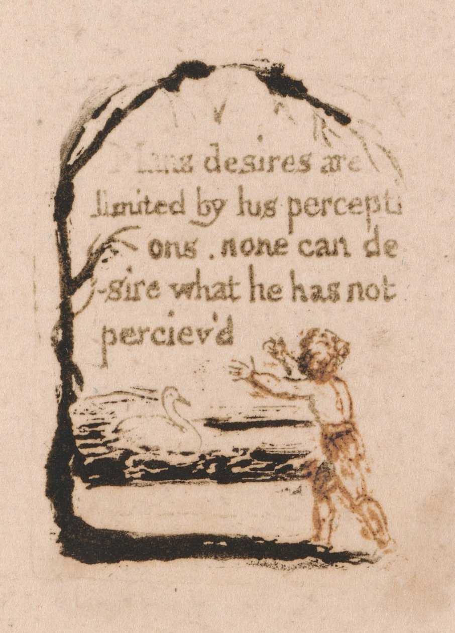 Nie ma religii naturalnej, płyta 7, autorstwa William Blake