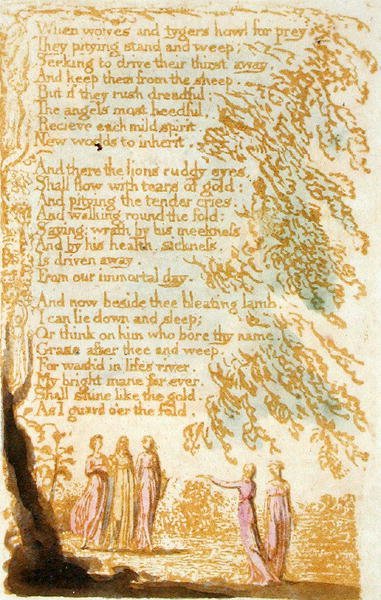 Kiedy wilki i tygrysy wyją..., płyta 17 z Pieśni o niewinności, 1789 (relief akwaforta z wc na papierze) autorstwa William Blake