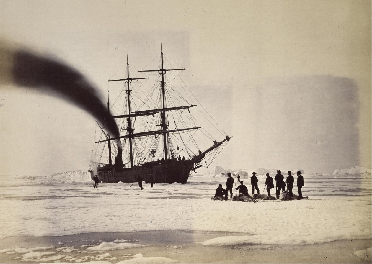Polowanie przez Steam w Melville Bay autorstwa William Bradford