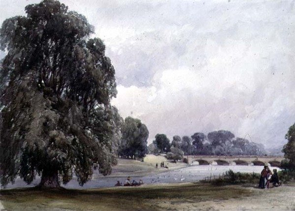 Serpentine, Ogrody Kensington autorstwa William Callow