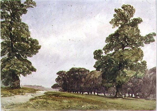 Zobacz w Hyde Parku autorstwa William Callow