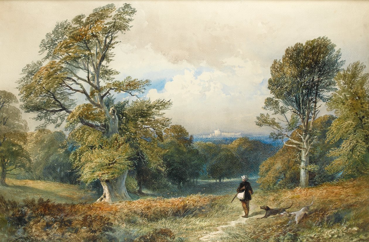 Rough Shooting w Windsor Great Park (wc na papierze) autorstwa William Collingwood Smith