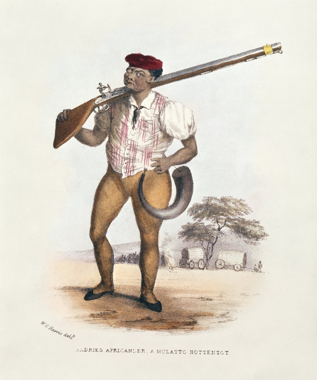 Andries Africander, Mulat Hottentot, ilustracja z Wild Sports of South Africa, autorstwa W.C. Harris, 1841 autorstwa William Cornwallis Harris
