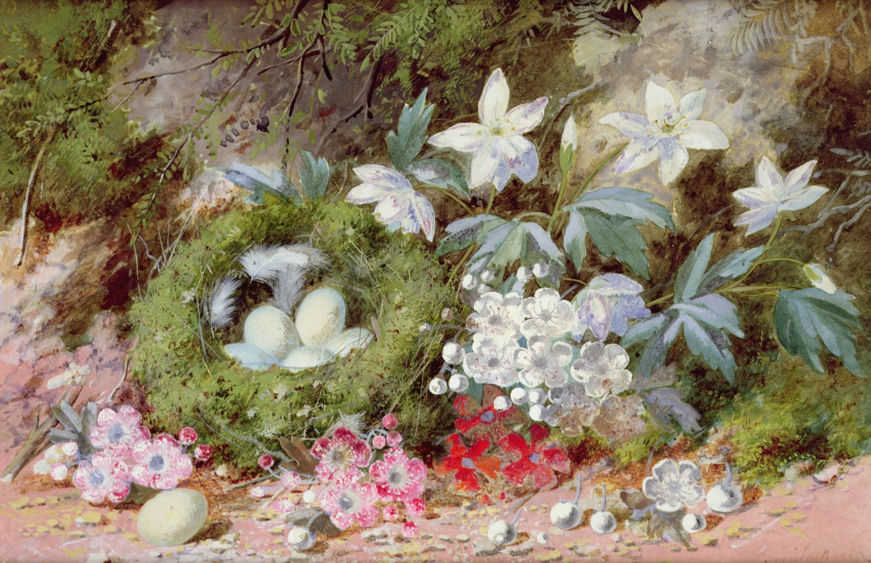 Martwa natura z ptasim gniazdem autorstwa William Cruikshank