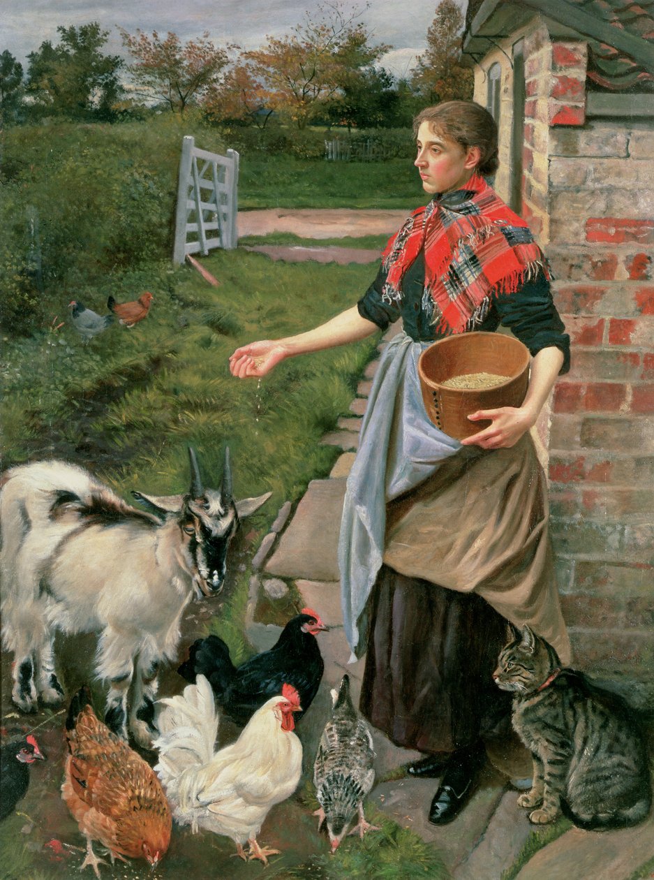 Karmienie Kurcząt autorstwa William Edward Millner