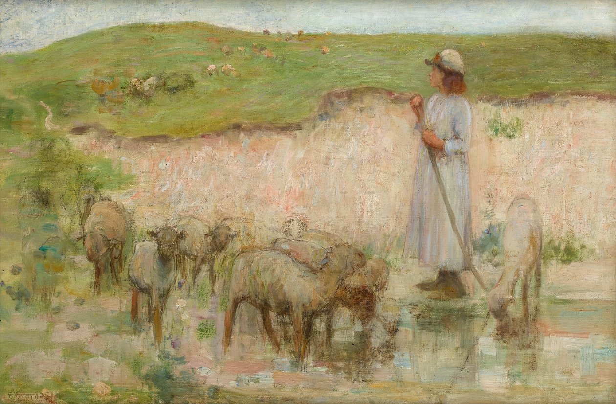 Badanie dotyczące basenu owiec na South Downs autorstwa William Edward Stott