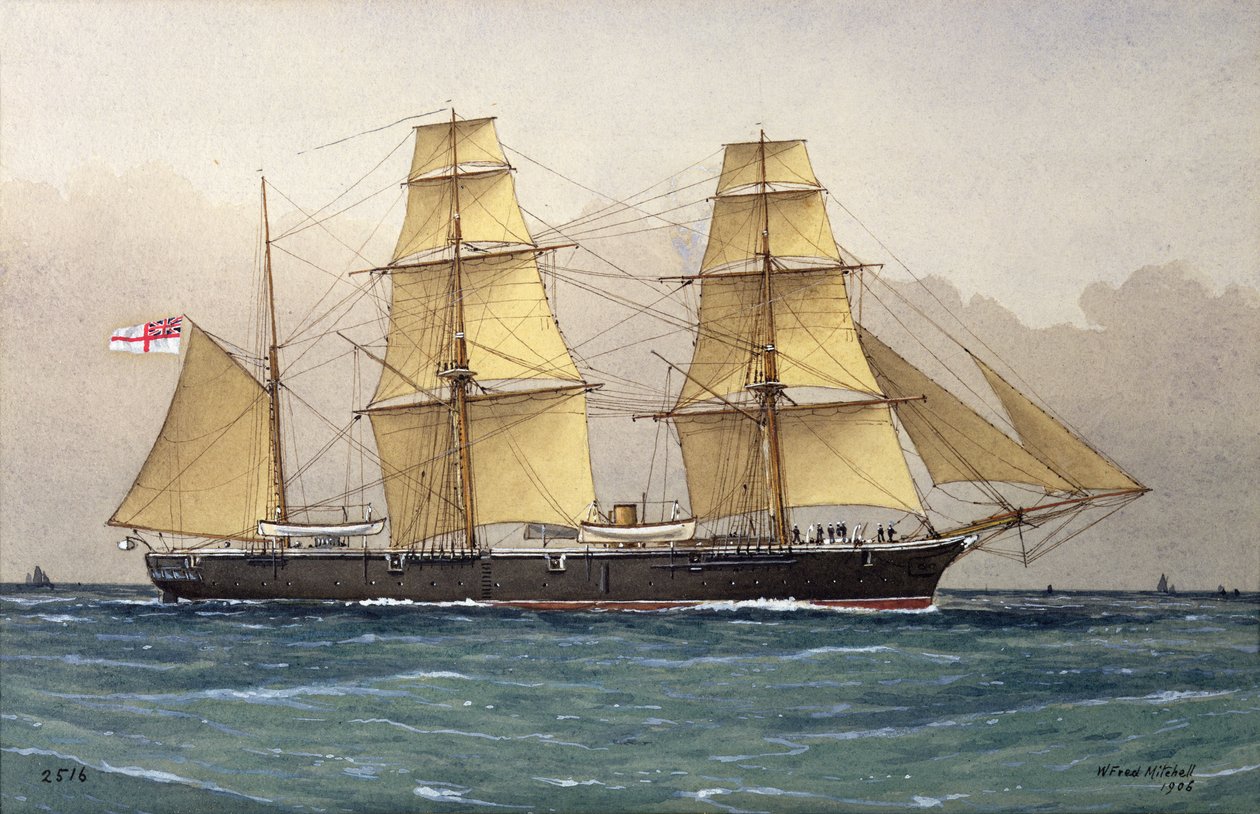 Dziki łabędź, 1906 autorstwa William Frederick Mitchell