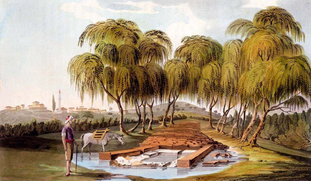 Wiosna u źródeł rzeki Skamander, 1804 autorstwa William Gell