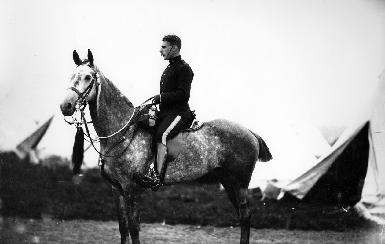 Oficer Szkockich Szarych Szeregów, ok. 1890 r. autorstwa William Gregory