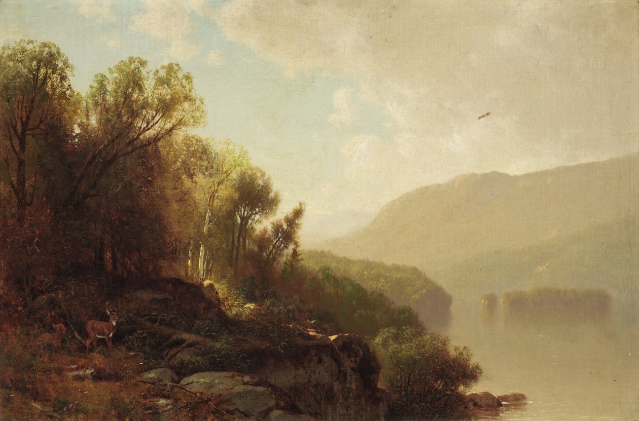 W Adirondacks, 1870 autorstwa William Hart