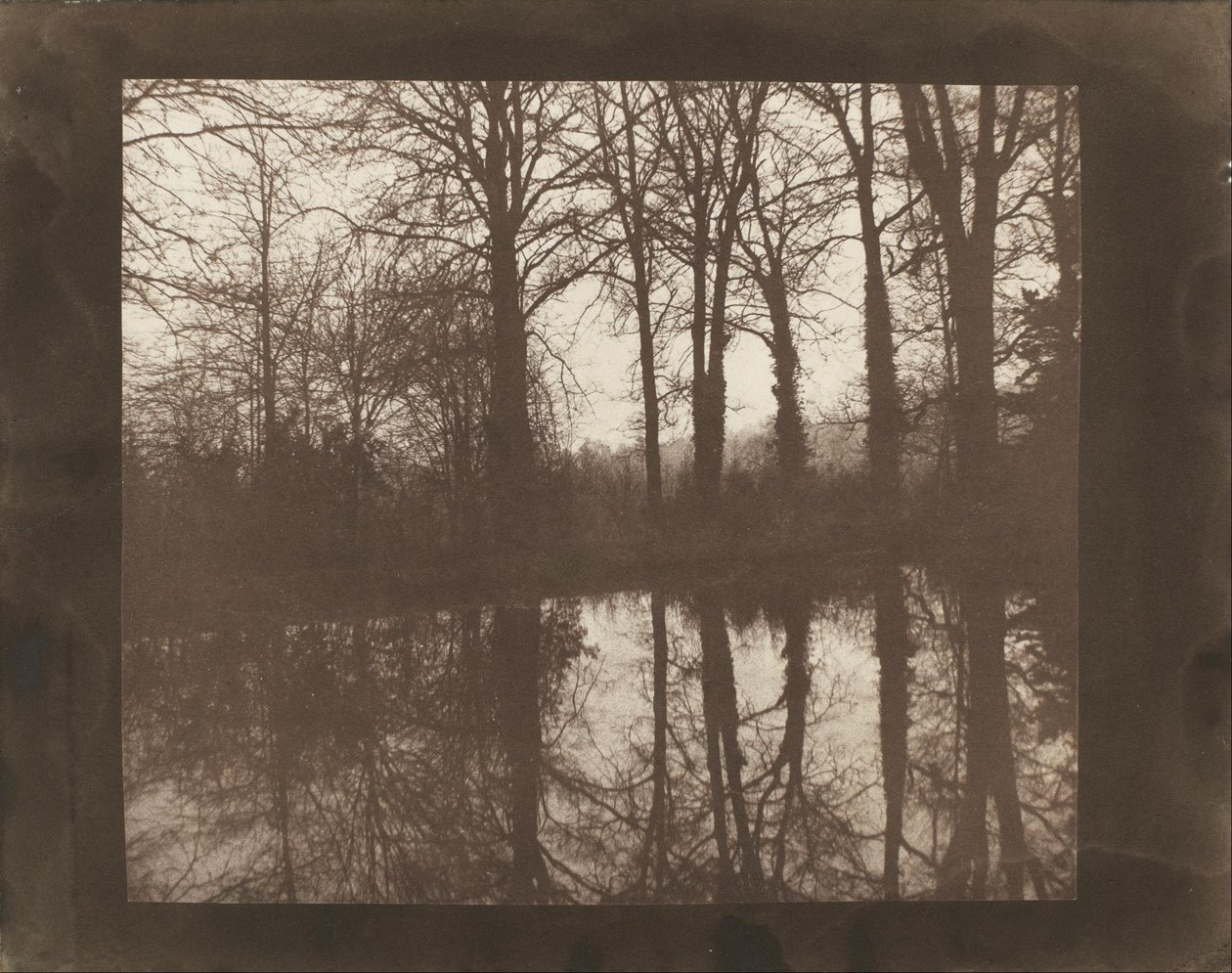 Drzewa i odbicia autorstwa William Henry Fox Talbot